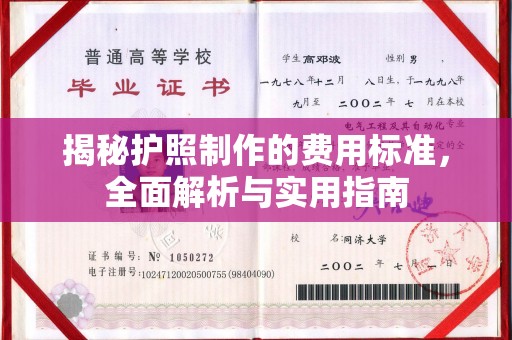 麻阳揭秘护照制作的费用标准，全面解析与实用指南